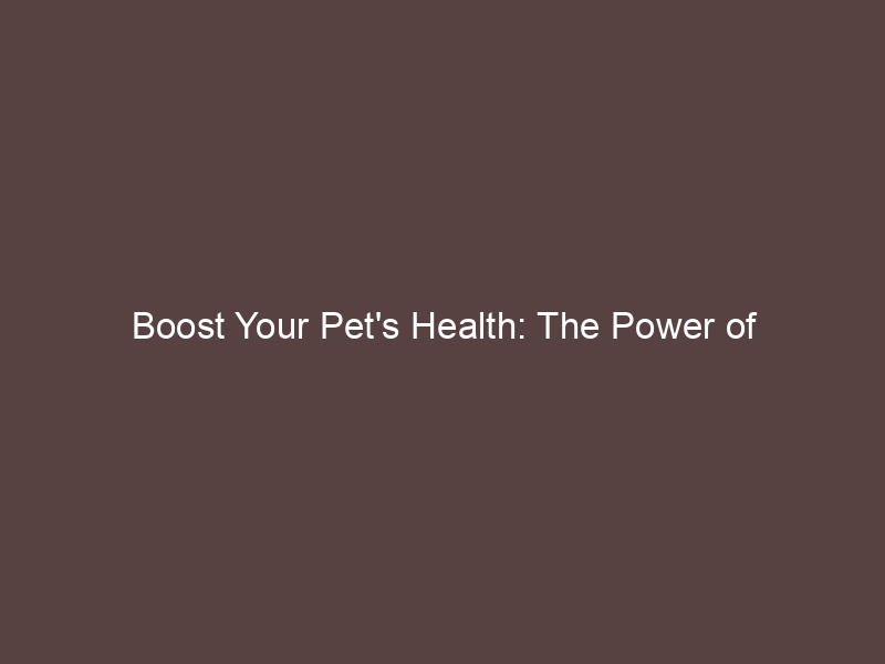 Boost Your Pet's Health: The Power of Antioxidants Unleashed!