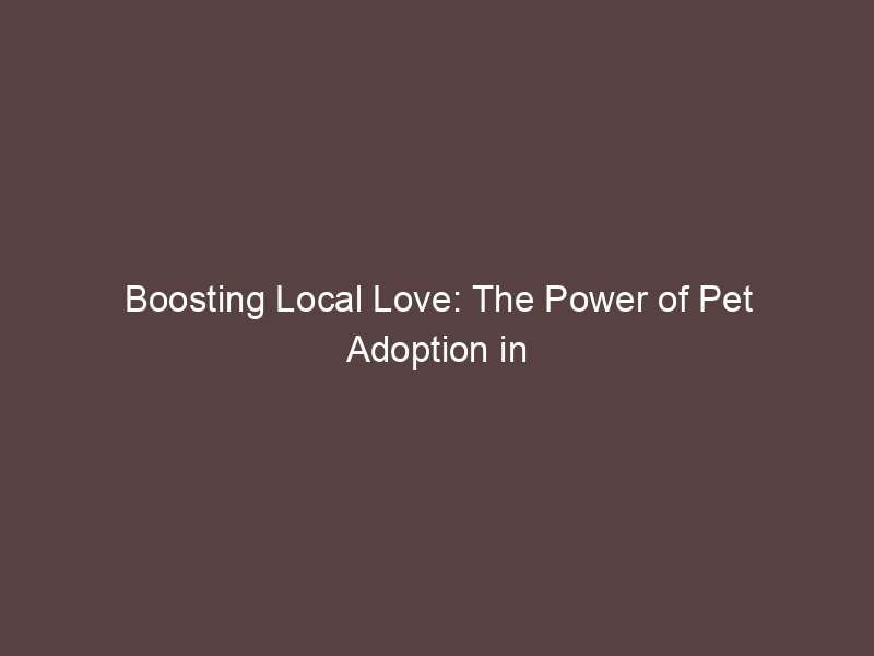Boosting Local Love: The Power of Pet Adoption in Your Community