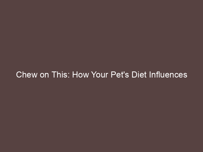 Chew on This: How Your Pet's Diet Influences Their Dental Health