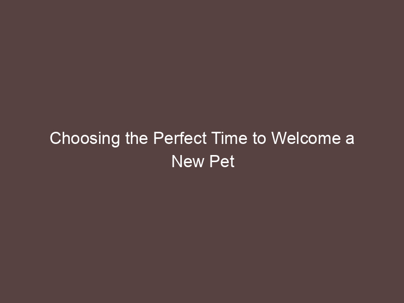 Choosing the Perfect Time to Welcome a New Pet into Your Home