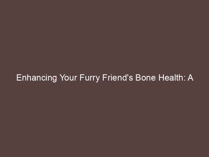 Enhancing Your Furry Friend's Bone Health: A Comprehensive Guide