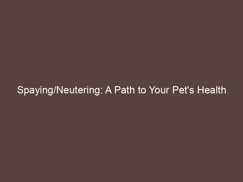Neutering: A Path to Your Pet's Health and Happiness