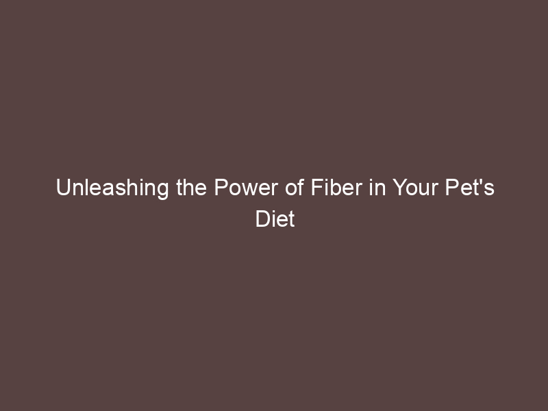 Unleashing the Power of Fiber in Your Pet's Diet