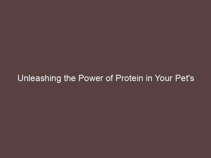 Unleashing the Power of Protein in Your Pet's Health