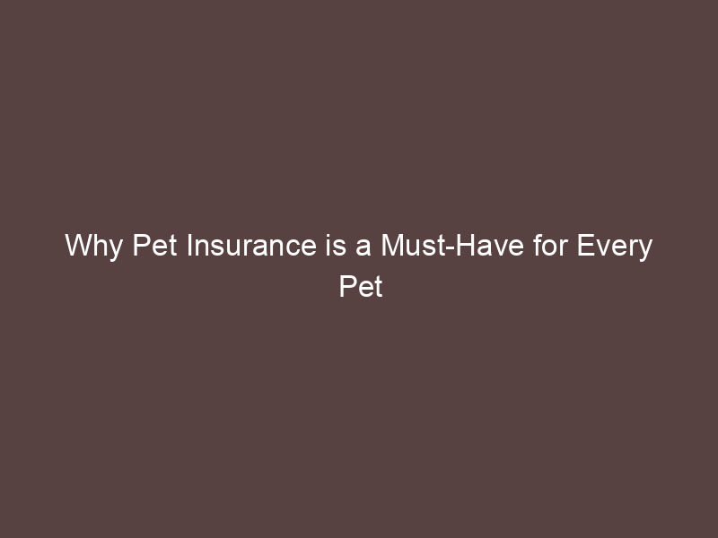 Why Pet Insurance is a Must-Have for Every Pet Parent
