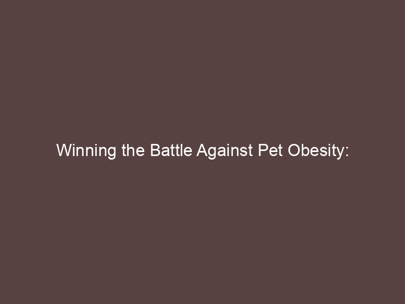 Winning the Battle Against Pet Obesity: Prevention Tips