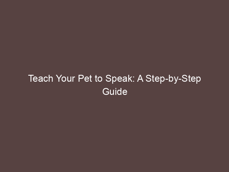 Teach Your Pet to Speak: A Step-by-Step Guide